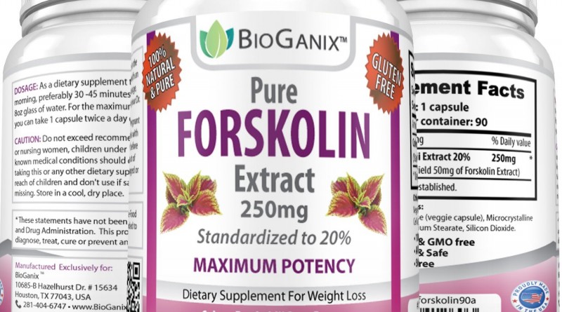 Forskolin Extract – Fat Burner – Does it work?